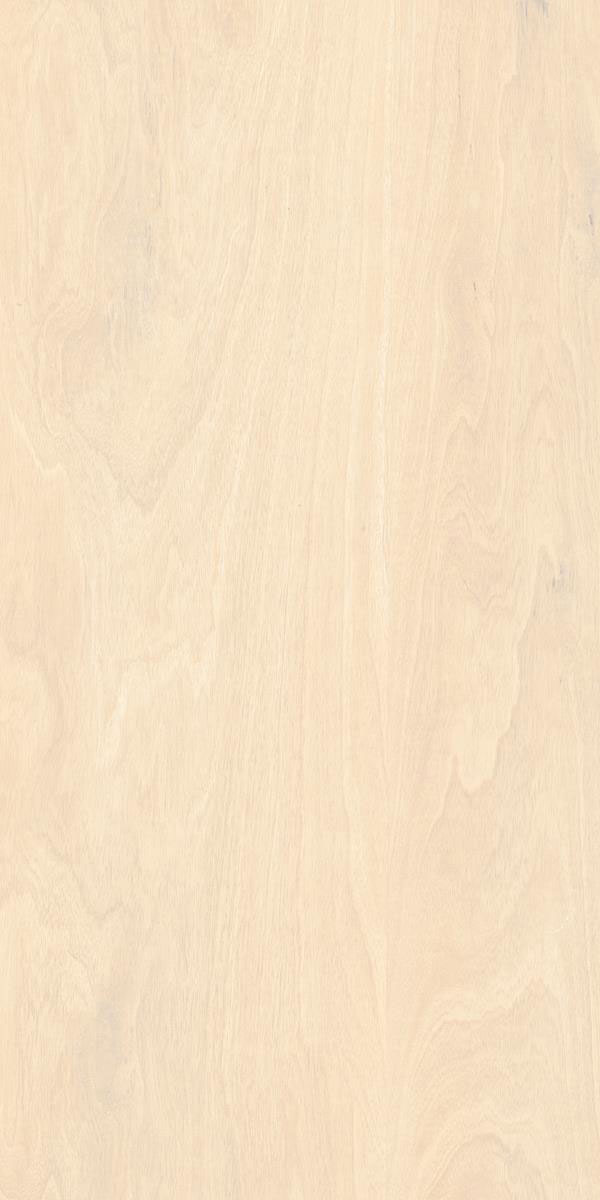 MAPLE BEIGE F1